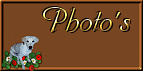 chiefphoto.gif (5032 bytes)